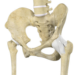 Hip Ligament Injuries